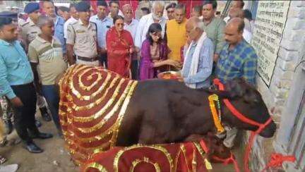 जहानाबाद: श्री कृष्ण गौशाला में गोपाष्टमी के अवसर पर की गई गौ माताओं और बछड़ों की पूजा-अर्चना, जिला पदाधिकारी रहीं मौजूद