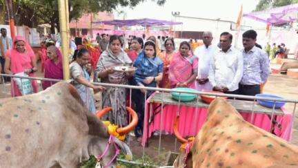 खंडवा नगर: गोपाष्टमी पर खंडवा के गणेश गौशाला में गौ माता की पूजा-अर्चना