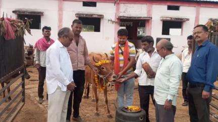 आमला: गौवंश संरक्षण वर्ष के तहत कोंढ़रखापा गौशाला में गोपाल अष्टमी पर गोपूजन संपन्न