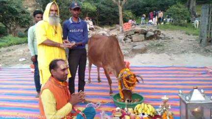 मऊ: चित्रकूट के कामदगिरि महाआरती स्थल पर गोपाष्टमी पर्व पर गौ माताओं का किया गया पूजन