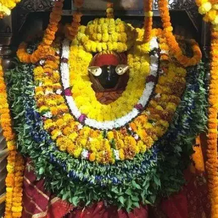 singhdhananjy