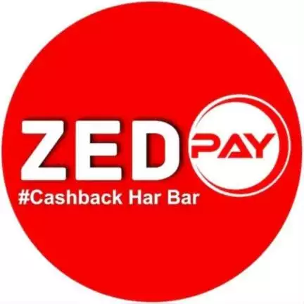 zedpay_business_plan