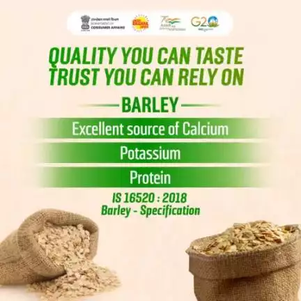 Trust only Quality certified Barley rich with calcium, potassium and protein.
#healthyfood