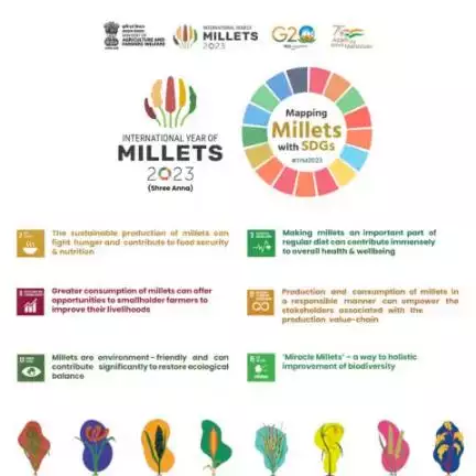 Mapping Millets with SDGs! Producing millets sustainably can combat hunger, as well as promote food security and nutrition.
#ShreeAnna #IYM2023 #SDGs #nutrition #FoodSecurity #YearofMillets