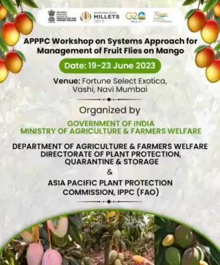 MoA&FW, Directorate of Plant Protection, Quarantine & storage & Asia Pacific Plant Protection Commission, IPPC (FAO) is organizing "#APPPCWorkshop on Systems Approach for Management of #FruitFlies on #Mango" at Select Exotica,Navi Mumbai