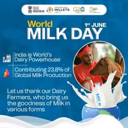 This #WorldMilkDay, let's salute our dairy farmers—the true champions behind the milk we cherish.
Their unwavering dedication and hard work fuel our nation's development and keep us healthy.