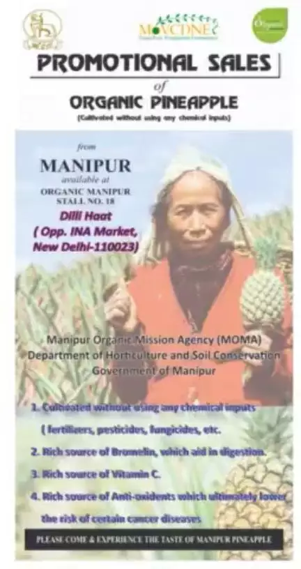 The sweetest Organic Pineapples from #FPOs of #Manipur under #MOVCDNER is available at Organic Manipur Stall No - 18, Dili Haat, New Delhi.