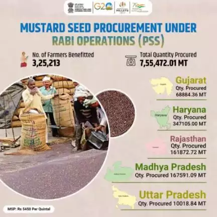 A quantity of 7.55 lakh metric tons (LMT) of #mustard seeds has been procured to date, benefiting more than 3.25 lakh farmers from Gujarat, Haryana, Rajasthan, Madhya Pradesh, and Uttar Pradesh.