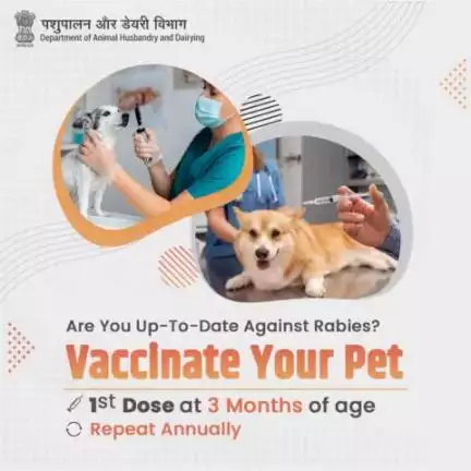 Cherish your pet's well-being. Begin at 3 months, boost annually for lifelong protection.
#AatmnirbharBharat #aatmnirbharahd #ahelp #animalhealth #animalhusbandry #Pashupalan #InclusiveDevelopment #AspirationalDistricts #rabies #pets