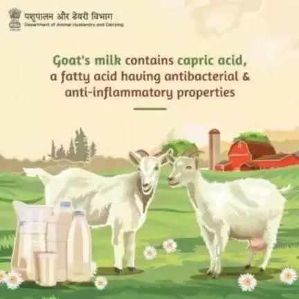 Great taste 😋
Creamy texture 🍦
Incredible nutrition 💪🏻

What's not to love about goat's #milk?
#Dairy #DairyIndia #MilkMatters #DeliciouslyDairy