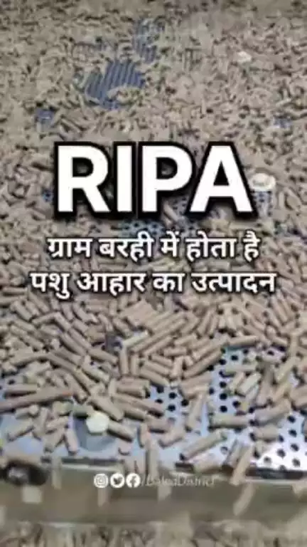 ग्रामीण औद्योगिक पार्क बरही में पशु आहार का हो रहा उत्पादन। #ripa #ruralindustry #baloddistrict