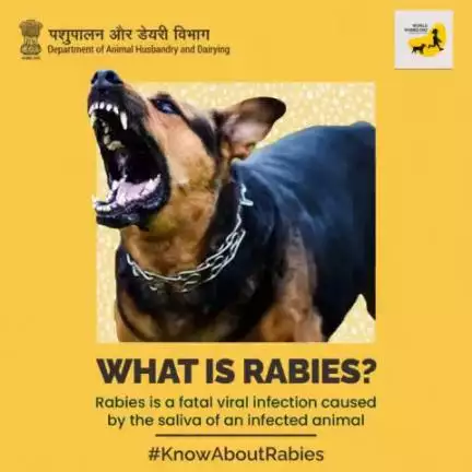 Stay Safe, Prevent Rabies
Rabies is a fatal viral infection caused by an infected dog bite!
Stay connected to #KnowAboutRabies
#RabiesAwareness #Rabies
#AatmnirbharBharat #aatmnirbharahd #ahelp #anima