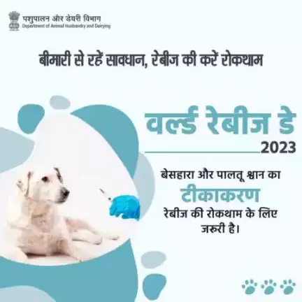 बेसहारा और पालतू  श्वान का टीकाकरण,रेबीज को फैलने से रोकता है.
#worldrabiesday #allfor1onehealthforall #rabiesvaccination
#ProtectFromRabies
#animalhealth #animalhusbandry