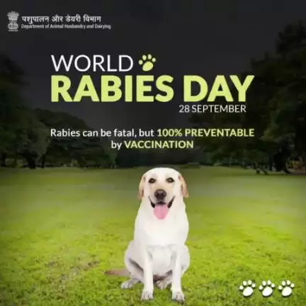 On #WorldRabiesDay, let's spread awareness about vaccines, to build a #Rabies-free world. #KnowAboutRabies #ProtectFromRabies
#allfor1onehealthforall #rabiesvaccination #animalhealth #animalhusbandry