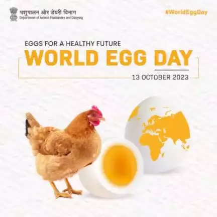 Celebrating the incredible, versatile, and universally loved egg on World Egg Day! 🍳🌎 #WorldEggDay #Eggcellent #animalhusbandry