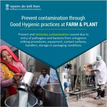 Maintaining cleanliness in the dairy industry during processing, packaging, and storage conditions reduces the number of pathogens.
#hygiene #AatmnirbharBharat #aatmnirbharahd #ahelp #animalhealth #livestock #animalhusbandry #Pashupalan