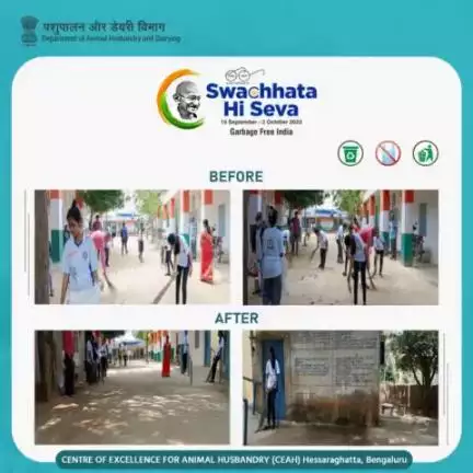 Center of Excellence for Animal Husbandry (CEAH), Hesaraghatta, Bengaluru, conducted a Swachhta Abhiyan in Suradhenupura village (School Premises) in association with Seshadripuram College NSS Volunteers during Swachhata Pakhwada 3.0
#Swach