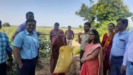 Ms. Ruchika Gupta, Adviser, DA&FW monitored a Crop Cutting Experiment (CCE) for Cotton in Mehsana district of Gujarat. The CCE was recorded using the recently launched mobile application and web portal.
#agrigoi #agriculture #cotton #CCE