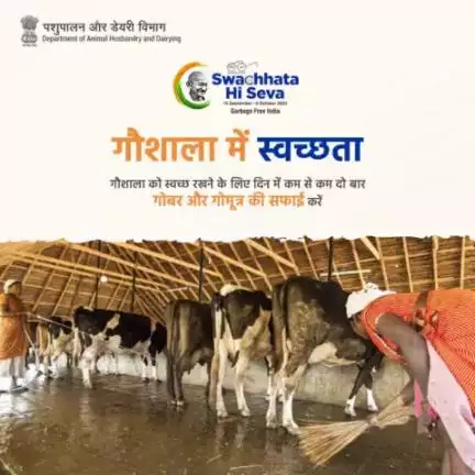 गौशाला को स्वच्छ रखने के लिए दिन में कम से कम दो बार गोबर और गोमूत्र की सफाई करना बहुत महत्वपूर्ण है। यह गायों को स्वस्थ और गौ शालाओं को स्वच्छ बनाए रखने में भी मदद करता है।
#SwachhBharat #GarbageFreeIndia #SHS2023 #animalhusbandry