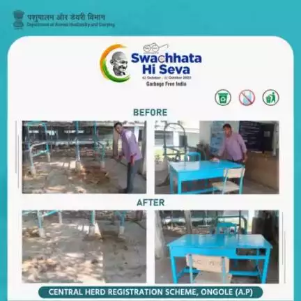 Central Herd Registration Scheme, Ongole (A.P), DAH&D conducted a Swachhata Abhiyan in MILK Recording Centre Gudlavalleru during Swachhata Pakhwada 3.0.
#SwachhBharat #GarbageFreeIndia #SHS2023 #animalhusbandry