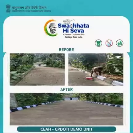 CEAH Bengaluru, DAH&D conducted a Swachhta Abhiyan in CEAH- CPDOTI Demo Unit during Swachhata Pakhwada 3.0
#SwachhBharat #GarbageFreeIndia #SHS2023 #animalhusbandry