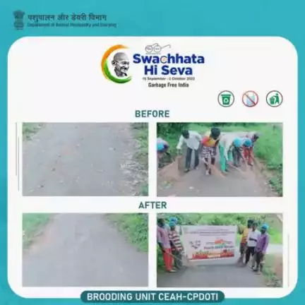 #SpecialCampaign3.0: Cleanliness activities to promote the message of #Swachhta were carried out by the Center of Excellence for Animal Husbandry, Bangalore, DAH&D at Brooding unit CEAH-CPDOTI.
#SwachhBharat #GarbageFreeIndia #SHS2023