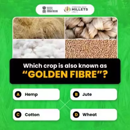 Come & join us for an exciting round of Agri Quiz! 
.
Which crop is also known as Golden Fibre? Share your answer in the comment section.
#agrigoi #GoldenFibre #fibre #silkworm #Jute #Hemp #wheat #agriquiz