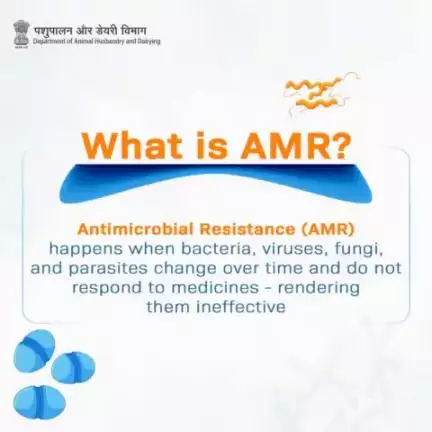 Antibiotic overuse harms us all! Spread the word about Anti-Microbial Resistance in livestock. Together, we can protect our animals, food supply, and future generations.
#AMRAware #HealthyLivestock