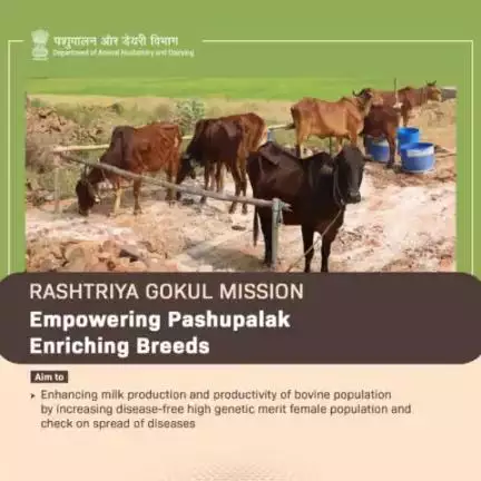 We aim at ensuring a prosperous and healthier future for our farming communities by enhancing milk production and productivity through disease-free, high genetic merit female population.
#RashtriyaGokulMission #EmpowerFarmers #MilkProductio