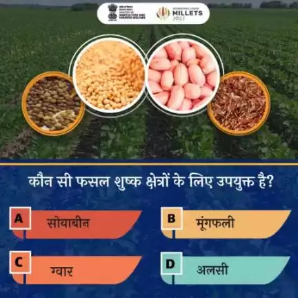 कृषि क्विज में हिस्सा लें व परखें अपना ज्ञान! 
.
कौन सी फसल शुष्क क्षेत्रों के लिए उपयुक्त है? कृपया कमेंट में अपना जवाब साझा करें।
#agrigoi #agriculture #cilmateresilient #crops #agriquiz