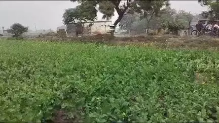 किसानों के कल्याण हेतु विकसित भारत संकल्प यात्रा के तहत उत्तर प्रदेश के जनपद-वाराणसी में #IFFCO द्वारा ड्रोन प्रदर्शन का कार्यक्रम आयोजित किया गया जिसमें इफको नैनो यूरिया इफको नैनो डीएपी एवं सागरिका का छिड़काव कर किसानों को जानकारी दी गयी।