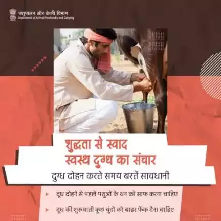 स्वच्छ दुग्ध उत्पादन #MilkHygiene