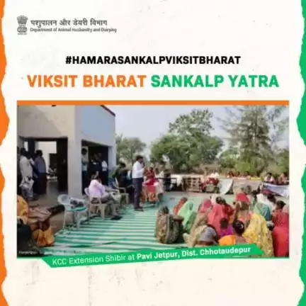 #ViksitBharatSankalpYatra witnessed a #KCC Extension Camp at Jetpur Pavi, Chhotaudepur, Gujarat—illuminating the path of awareness for the Department of Animal Husbandry and Dairying's KCC programs.
#HamaraSankalpViksitBharat