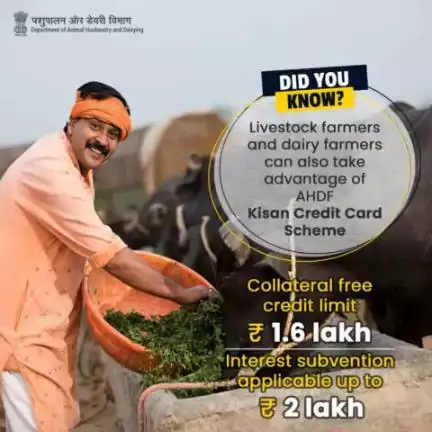 Under the Kisan Credit Card Scheme, livestock farmers and dairy farmers can easily get loans from the banks to promote their animal husbandry and dairy business.#KisanCreditCard #aatmanirbharkisan #animalhusbandry #kcc