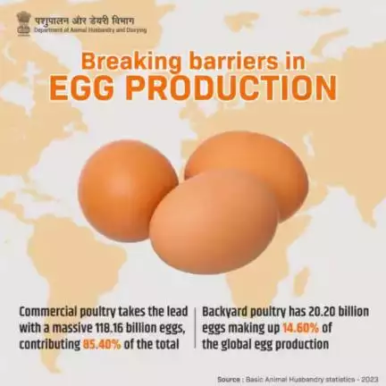 The overall number of eggs produced by commercial and backyard poultry is 118.16 billion and 20.20 billion, respectively representing 85.40% and 14.60% of the total egg production.
#farmingpoultry #eggproduction #eggs