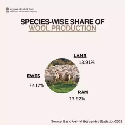 Wool Production Dynamics Unveiled:
 Ewes Take Centre Stage with a Dominant 72.17%, While Ram/Wether and Lamb Contribute 13.92% and 13.91% respectively, Shaping the #landscapes of Total Wool Output in the Country for the Year 2022-23.
 #wool