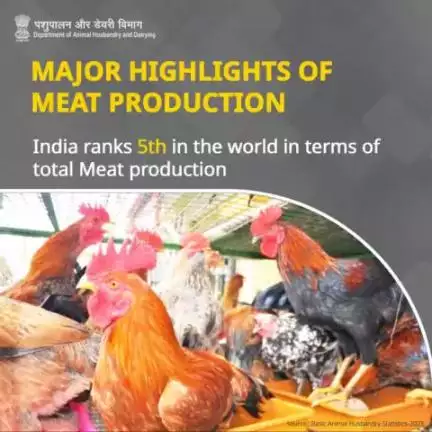 India secures the 5th position globally in total meat production, underscoring its substantial role in the international meat industry landscape.
#MeatProduction #GlobalRanking