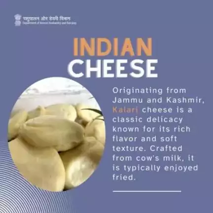 Experience the Taste of Kashmir : 

Kalari Cheese is a Timeless Delicacy with Rich Flavor and Irresistible Softness. Best Savored Fried!
#cheese