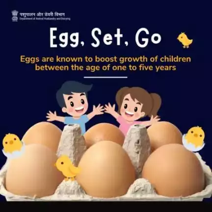 Fueling Growth Milestones: 
Eggs, the Nutrient-Packed Powerhouse for Children Aged One to Five.
#Eggs