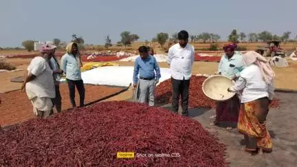 The Government of Karnataka's Department of Horticulture played a vital role in promoting the Farmers Producer Organization (FPO).   

#agrigoi #Horticulture #FPOs #farmers #EmpoweringAnndatas