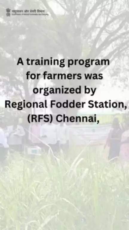 Training programme for Farmers has been organised by RFS, Chennai. During programme 30 Progressive Dairy Farmers from Kanchipuram District has been participated. Fodder Demonstrations kits were also distributed to the farmers.#Fodder