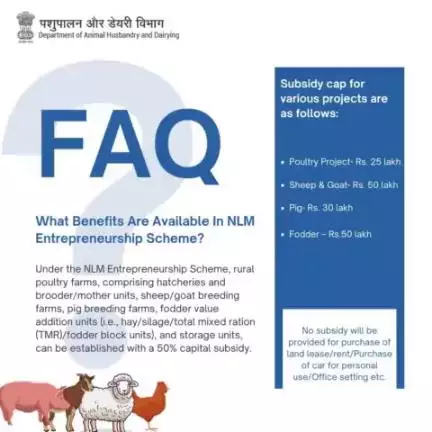 Empowering Rural Growth: 
NLM #entrepreneurship Scheme offers a 50% capital subsidy for establishing diverse agribusinesses, from #poultry and livestock breeding farms to innovative fodder value-addition units and storage facilities.
 #nati