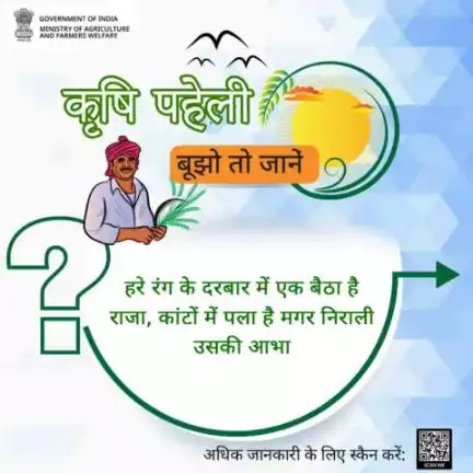 कृषि क्षेत्र में बूझो तो जानें!

"हरे रंग के दरबार में एक बैठा है राजा, कांटों में पला है मगर निराली उसकी आभा“, अपना जवाब कमेंट में साझा करें।

#agrigoi #agriquiz #farmers #quizz