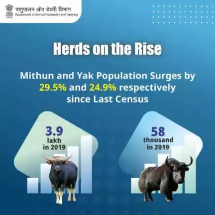 The combined population of Mithun and Yak in the country reached 390,000 and 58,000 respectively in 2019, showing growth rates of 29.5% and 24.9% respectively compared to the previous census. #livestockcensus