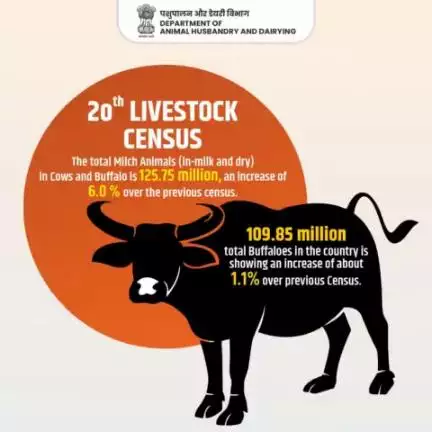 Booming Bovine Population: Milch Animals and Buffaloes on the Rise! #livestockcensus