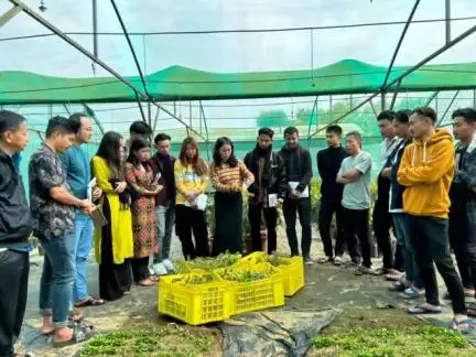 CIH, Nagaland has started a 210-hour skill development programme at the campus to encourage rural youth to adopt horticulture & increase skilling covering all aspects of nursery management and multiplication of plants under guidance of CIH.