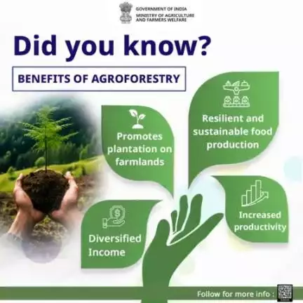 Agroforestry helps harmonize agriculture & forestry for sustainable land use & enhanced biodiversity by unlocking multiple benefits like conserving soil & diversifying income for farmers.

#agrigoi #agroforestry #sustainableagriculture