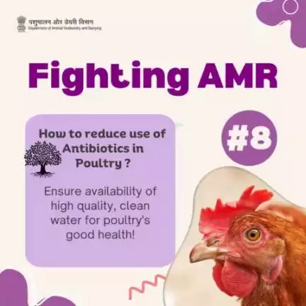 Ensuring Feathered Friends Stay Healthy: Prioritizing Water System Cleaning and Sanitization for Optimal Hygiene!
#antimicrobialresistanceawareness #poultry #livestockcare