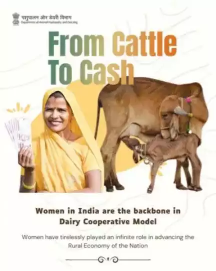 The incredible journey of women in the Indian dairy sector, transforming not just their lives but the entire rural landscape.
#EmpoweringWomenThroughDairy #inspiration #dairyfree #milk #womenempowermentevent