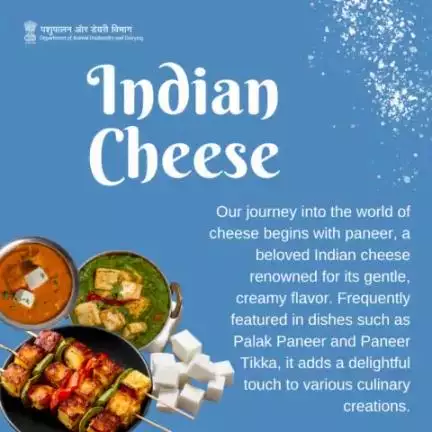 Embark on a cheesy journey with the beloved Indian cheese, paneer. Renowned for its gentle, creamy flavor, it frequently stars in dishes such as Palak Paneer and Paneer Tikka. #dairyproducts #cheese #paneer